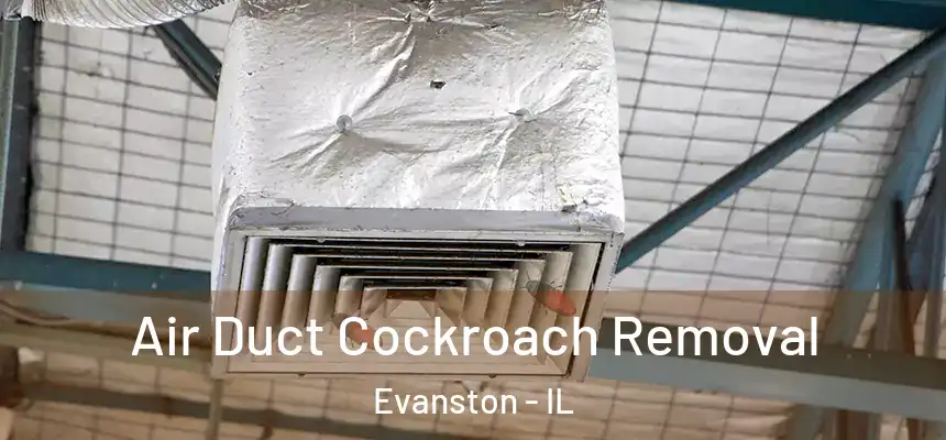 Air Duct Cockroach Removal Evanston - IL