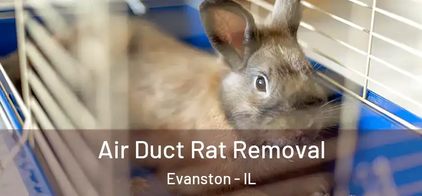 Air Duct Rat Removal Evanston - IL