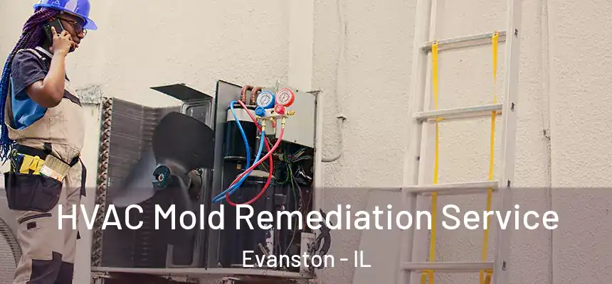 HVAC Mold Remediation Service Evanston - IL