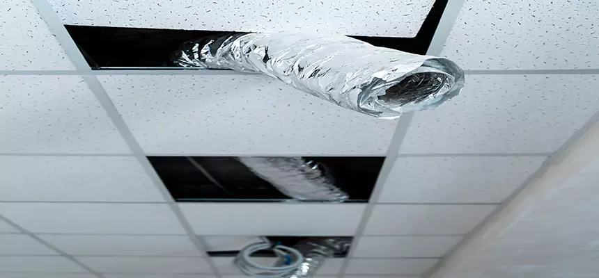 Affordable HVAC Sanitizing After Pest Removal in Evanston