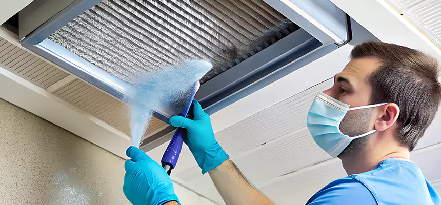 Proactive Dryer Vent & Auxiliary Duct Pollen Cleanup in Evanston, IL