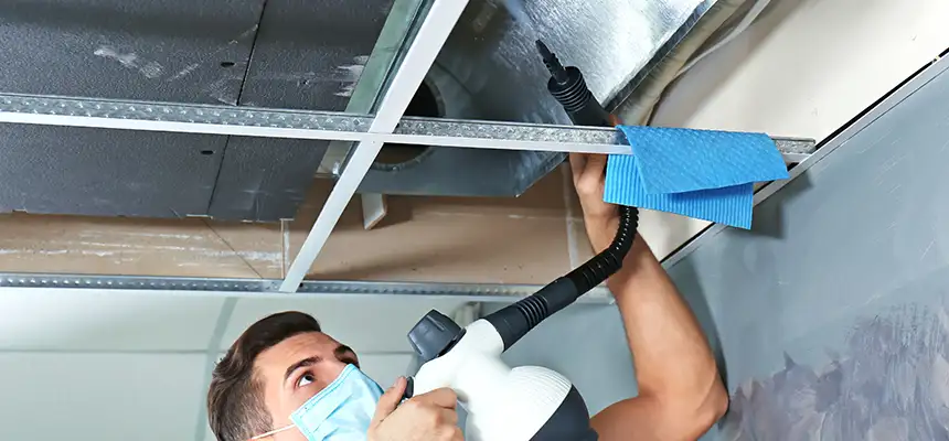 Our Air Duct Rodent Removal Services in Evanston, IL