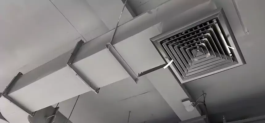 Restorative Allergy Relief Vent Cleaning – Coil, Blower & Housing Detail in Evanston