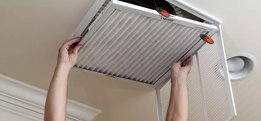 Our Insect Removal from Air Ducts Services in Evanston, IL