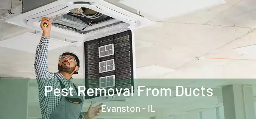 Pest Removal From Ducts Evanston - IL