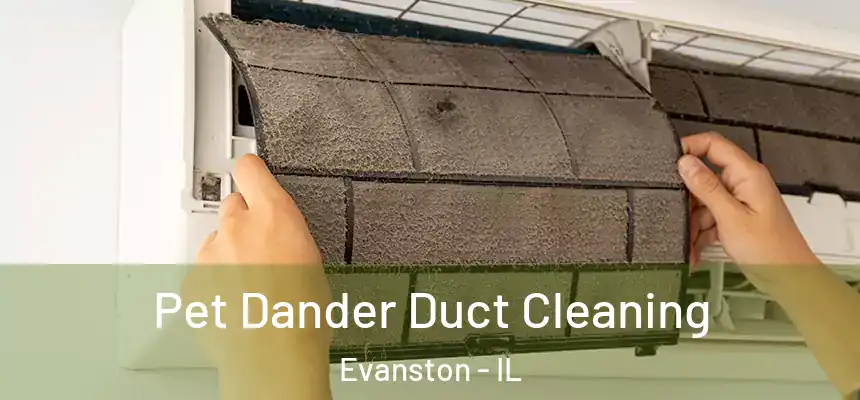 Pet Dander Duct Cleaning Evanston - IL