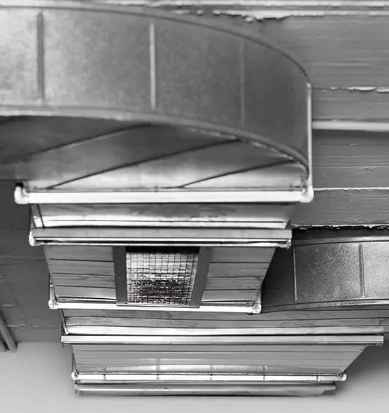 Professional Air Duct Pet Hair Removal in Evanston, IL