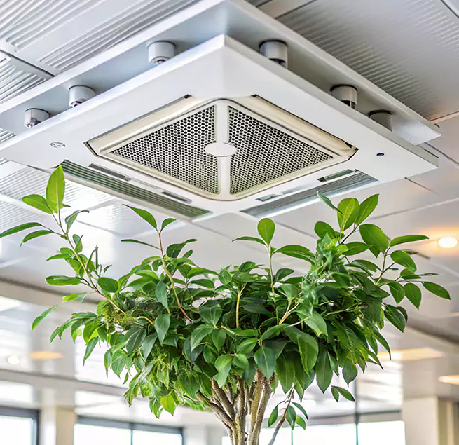 Why Homeowners & Businesses Trust Us in Evanston, IL