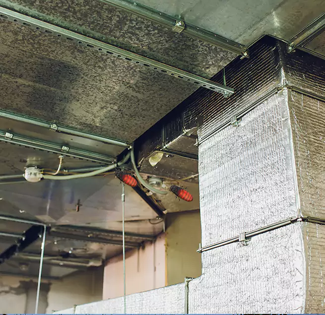 Why Homeowners & Businesses Trust Us Evanston, IL?