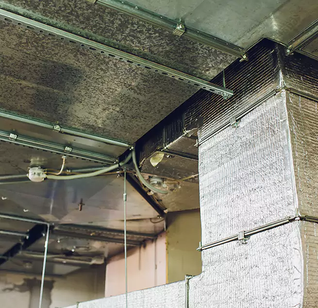 Why Homeowners & Businesses Trust Us in Evanston, IL?